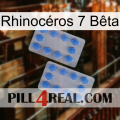 Rhinocéros 7 Bêta 20